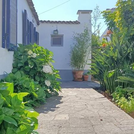 Casa Azores Zen 리베라그란데 외부 사진