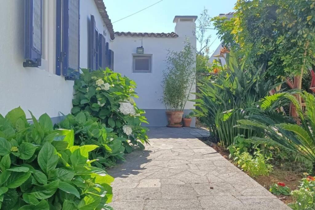 Casa Azores Zen 리베라그란데 외부 사진